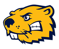 Buena Vista University Sports Camps